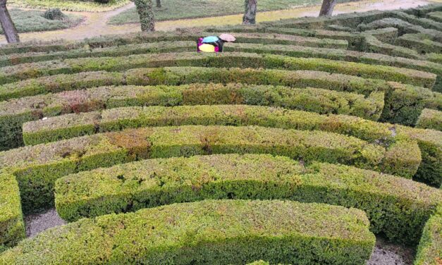 Viaggio d’istruzione Sec. I Grado