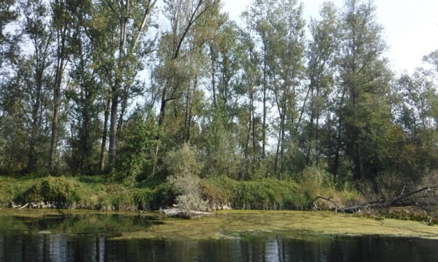 Rafting